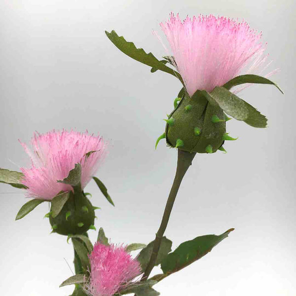 dandelion-artificiale-rosa