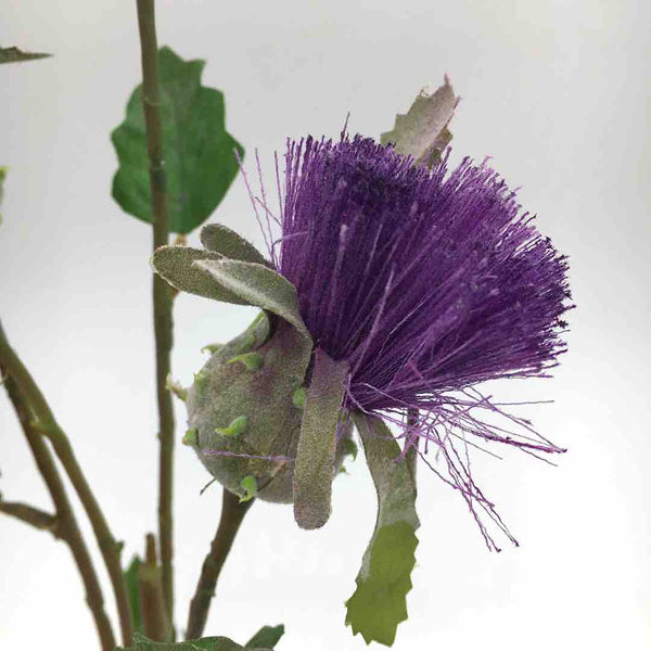 dandelion-artificiale-viola