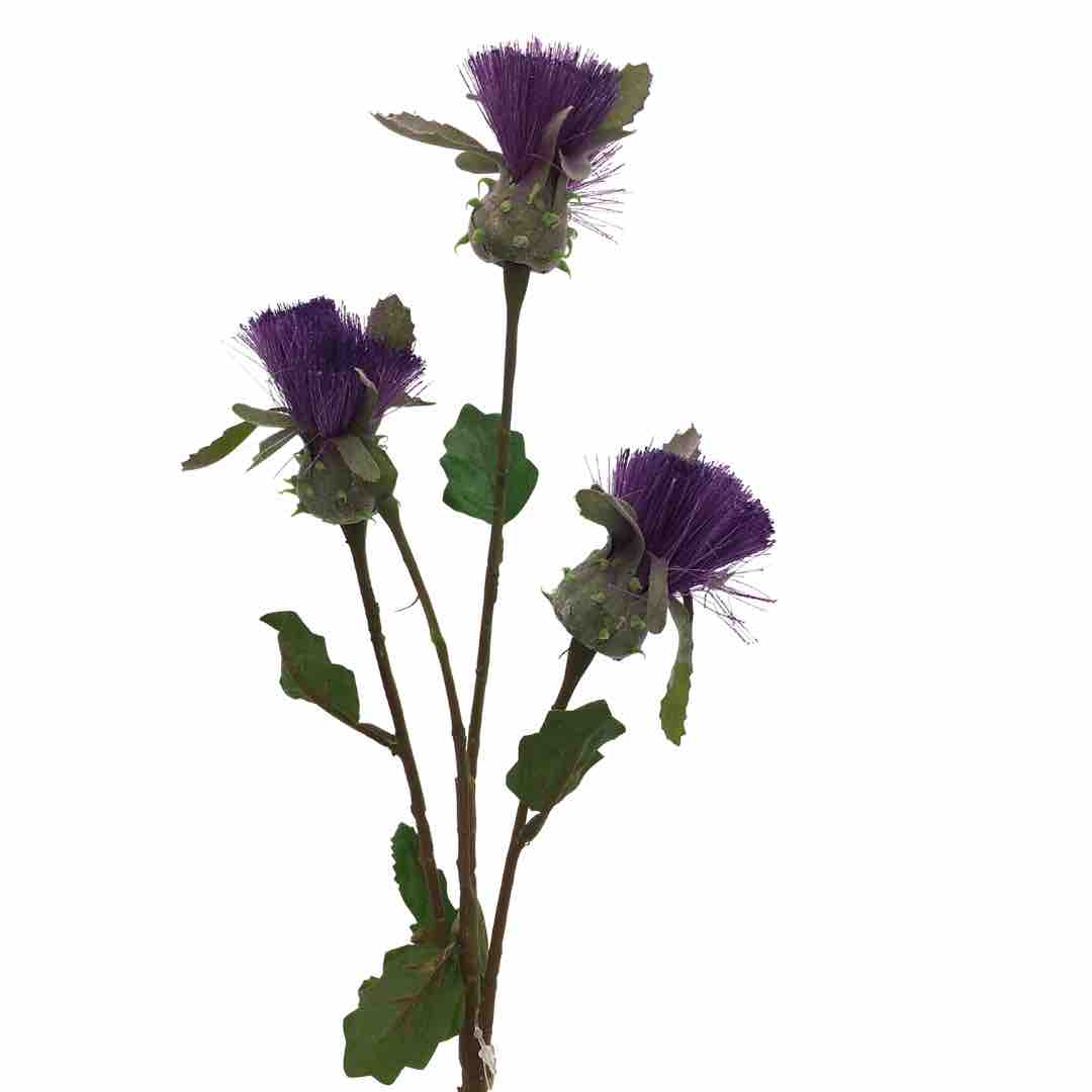 dandelion-artificiale-viola