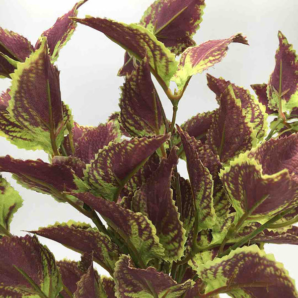 pianta-artificiale-coleus