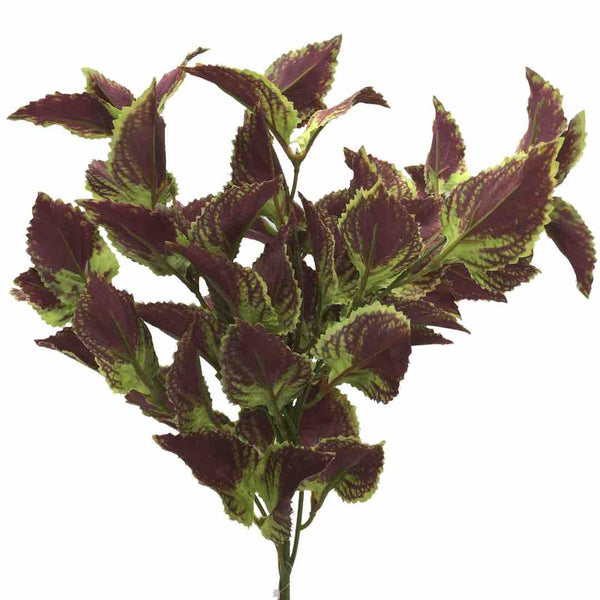 pianta-artificiale-coleus